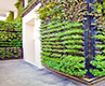 Vertical Garden